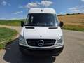 Mercedes-Benz Sprinter 316 NGT HD 5 Sitze *Top Zustand* Weiß - thumbnail 2