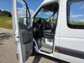 Mercedes-Benz Sprinter 316 NGT HD 5 Sitze *Top Zustand* Weiß - thumbnail 9