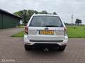 Subaru Forester 2.0 XS 40 year Edition/AIRCO/CRUISE/TREKHAAK Weiß - thumbnail 6