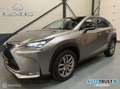 Lexus NX 300h AWD F Sport Line Leer | Pano | Trekhaak Šedá - thumbnail 1