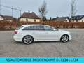 Audi A6 Avant 3.0 TDI quattro-SLINE-XENON-KAMERA Weiß - thumbnail 12