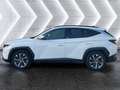 Hyundai TUCSON 1.6 T-GDI Trend 2xKlima ACC Akustikglas Weiß - thumbnail 3