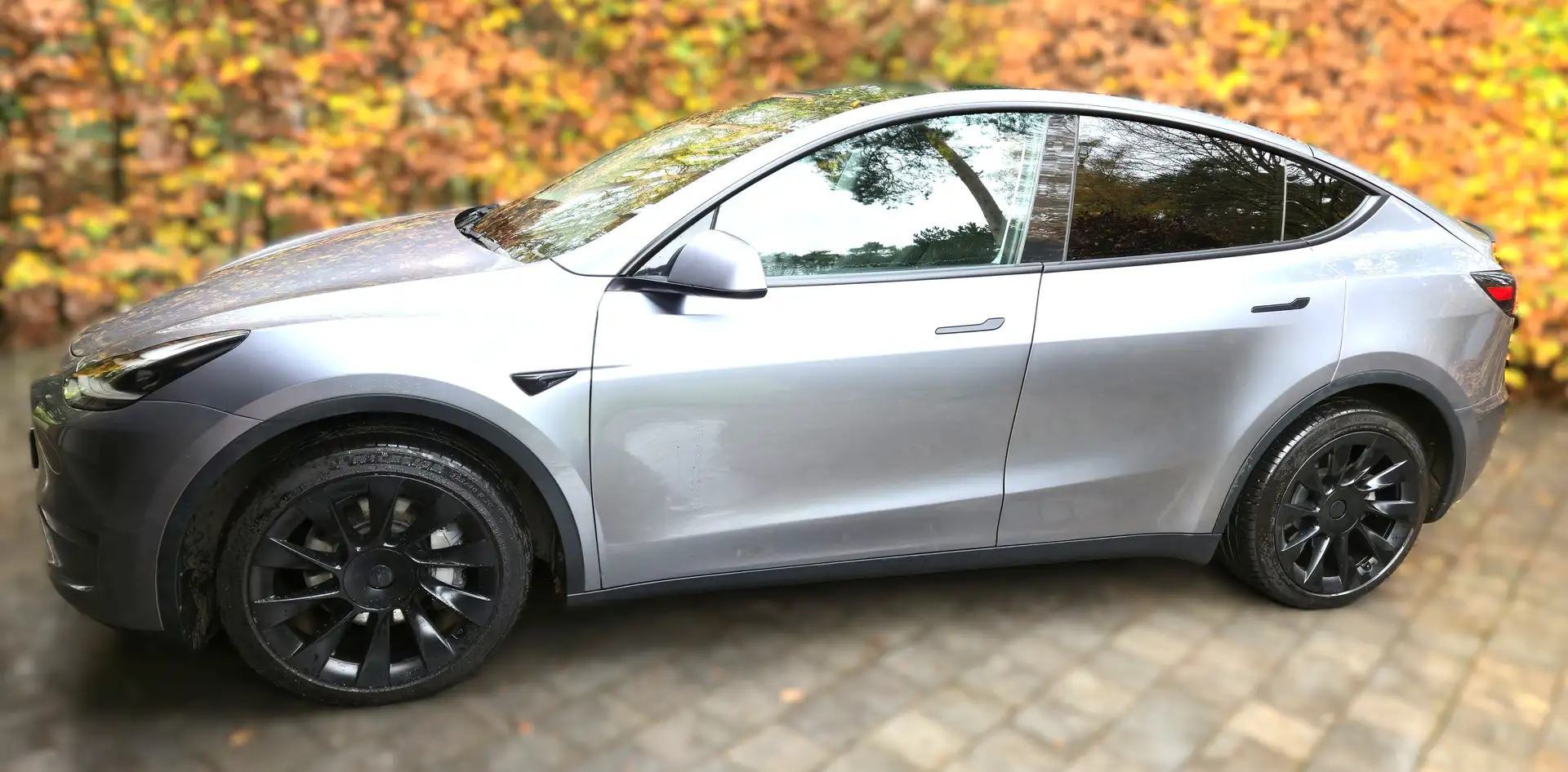Tesla Model Y Model Y Performance Dual Motor AWD Серебристый - 1