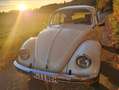 Volkswagen Käfer Weiß - thumbnail 13