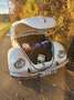 Volkswagen Käfer Weiß - thumbnail 11