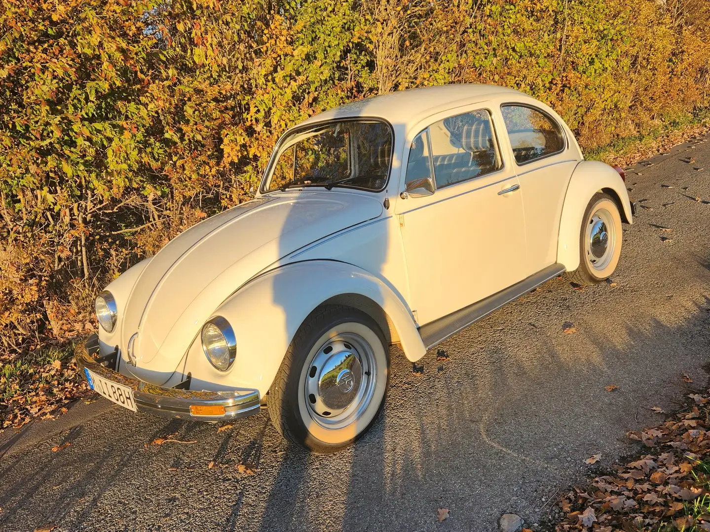 Volkswagen Käfer Weiß - 2