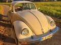 Volkswagen Käfer Weiß - thumbnail 10