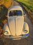 Volkswagen Käfer Weiß - thumbnail 18