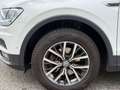 Volkswagen Tiguan All Space 2.0 TDI 150 DSG7 Blanc - thumbnail 47