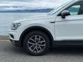 Volkswagen Tiguan All Space 2.0 TDI 150 DSG7 Blanc - thumbnail 30