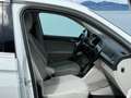 Volkswagen Tiguan All Space 2.0 TDI 150 DSG7 Blanc - thumbnail 14