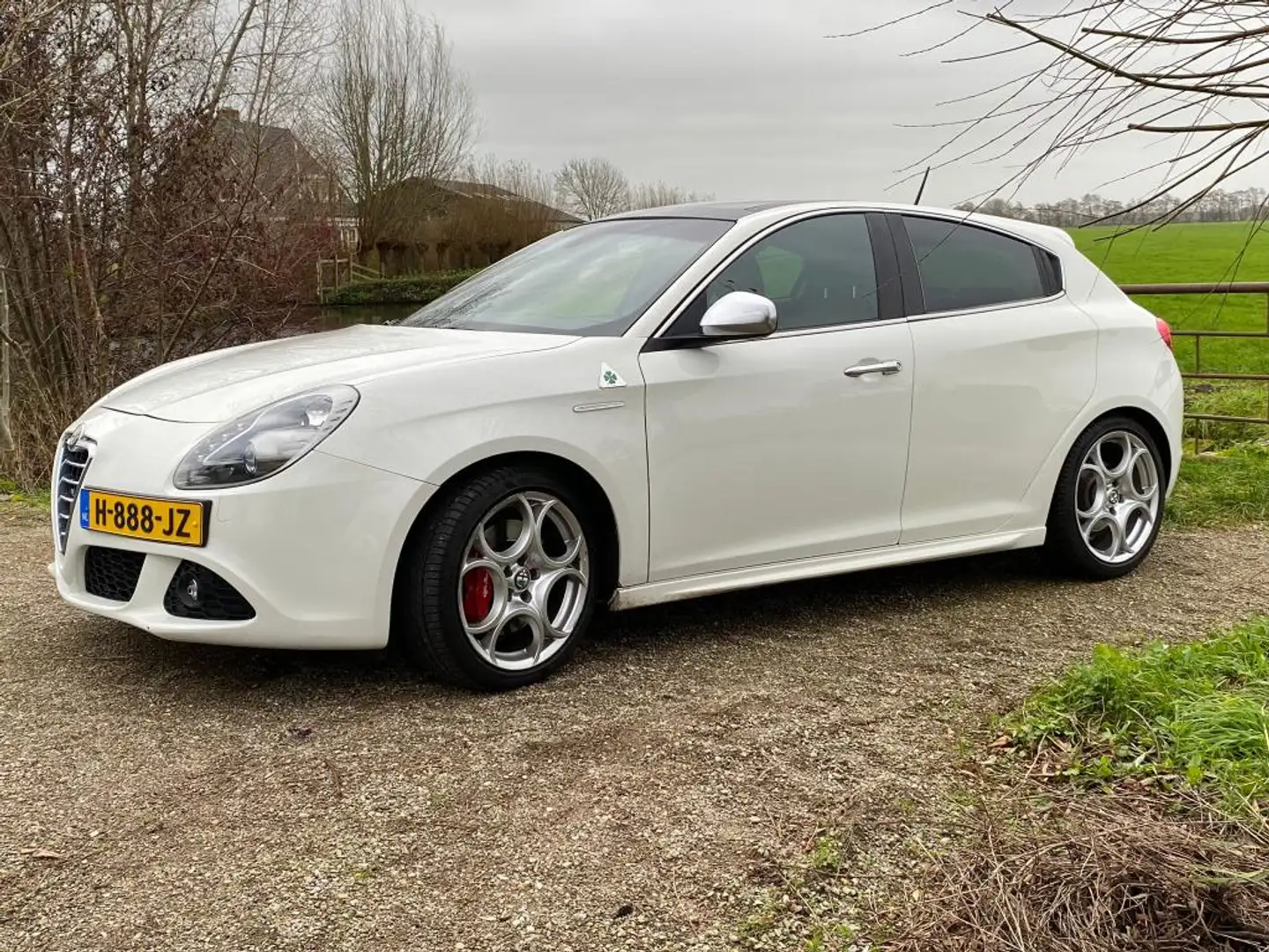 Alfa Romeo Giulietta 1.7 TBi Quadrifoglio Verde Blanc - 2