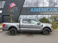 Ford F 150 Supercrew LARIAT Black Package V8 5.0L FLEXFUEL Gris - thumbnail 8