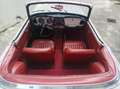 Triumph TR4 Bianco - thumbnail 5