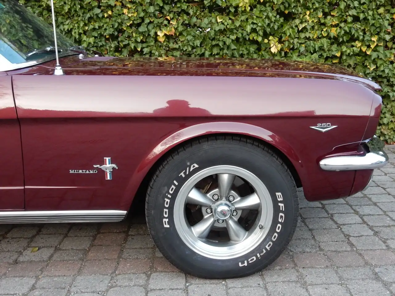 Ford Mustang Cabrio V8, foto 11