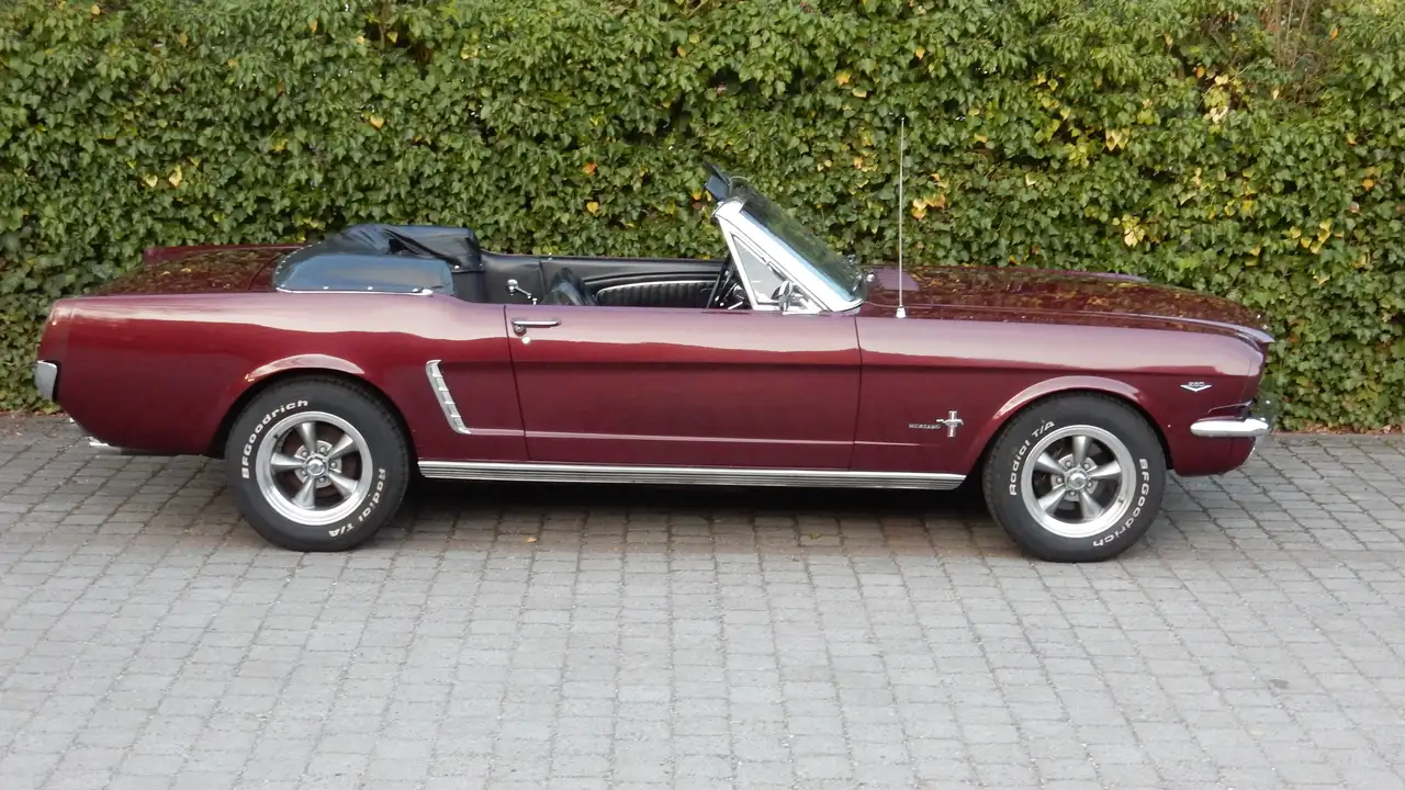 Ford Mustang Cabrio V8, foto 2