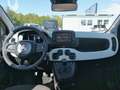 Fiat Panda PANDA CROSS Gelb - thumbnail 8