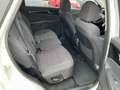Kia Sorento 2,2 CRDi SCR AWD Gold Aut. Weiß - thumbnail 12