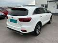 Kia Sorento 2,2 CRDi SCR AWD Gold Aut. Weiß - thumbnail 4
