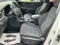 Kia Sorento 2,2 CRDi SCR AWD Gold Aut. Weiß - thumbnail 9