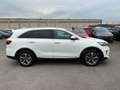 Kia Sorento 2,2 CRDi SCR AWD Gold Aut. Weiß - thumbnail 8