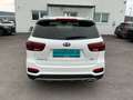 Kia Sorento 2,2 CRDi SCR AWD Gold Aut. Weiß - thumbnail 5