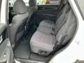 Kia Sorento 2,2 CRDi SCR AWD Gold Aut. Weiß - thumbnail 10