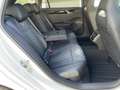 Volkswagen Passat Variant R-Line 2.0TDI DSG AHK+Pano+Harman Weiß - thumbnail 9