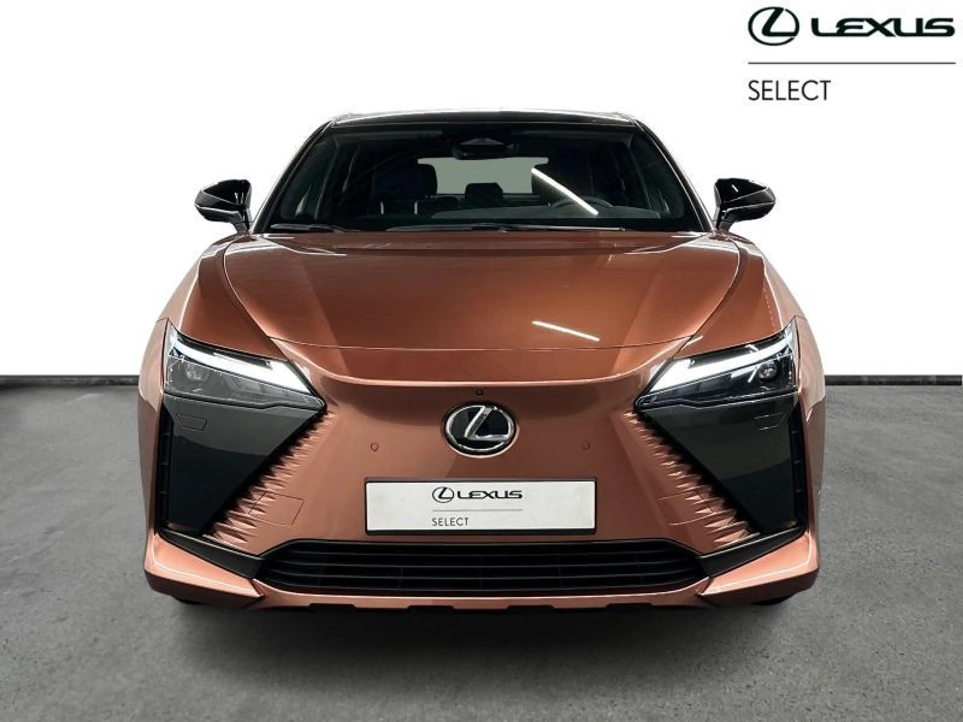 Lexus RZ Privilege Line AWD 450e — photo 5