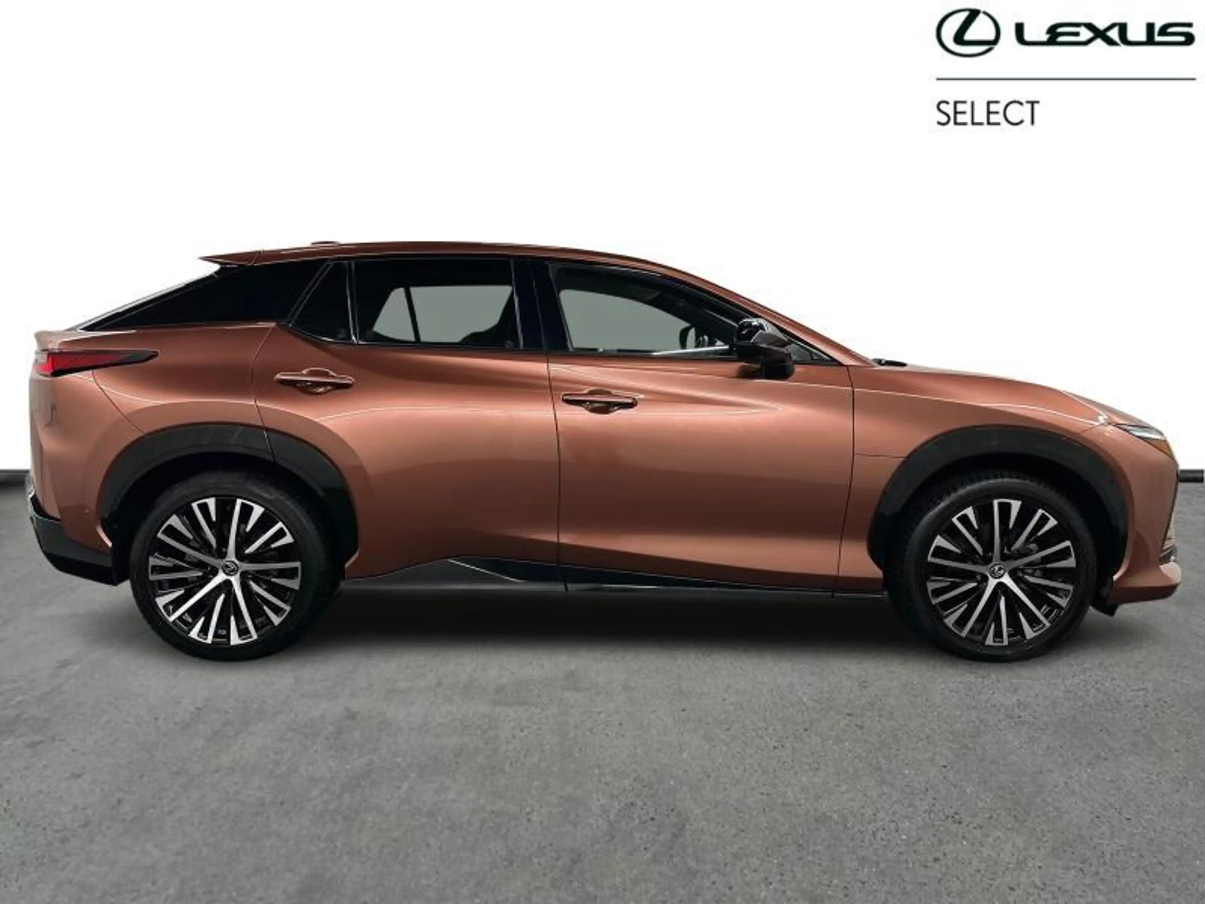 Lexus RZ Privilege Line AWD 450e — photo 14