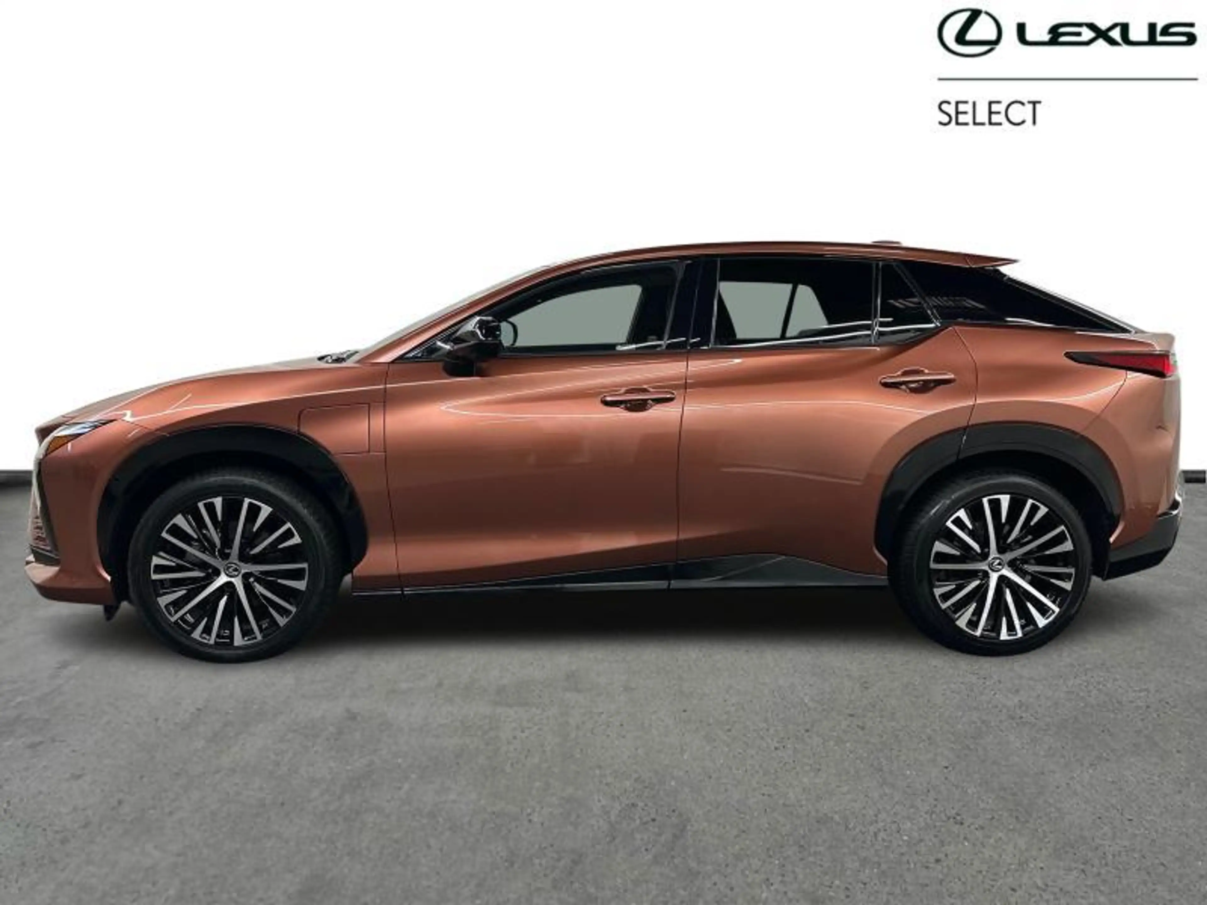 Lexus RZ Privilege Line AWD 450e — photo 3