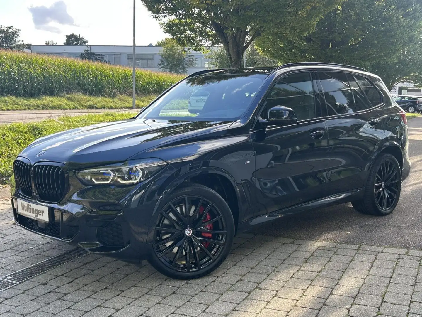 BMW X5 x40d M Sport Sky Int-Aktiv-Lenk. AHK 123550,- Nero - 2