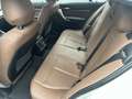 BMW 118 118d Business 5p auto km CERTIFICATI Bianco - thumbnail 6
