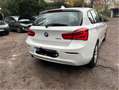 BMW 118 118d Business 5p auto km CERTIFICATI Bianco - thumbnail 3