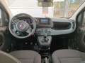 Fiat Panda 3ª serie 1.0 FireFly S&S Hybrid - thumbnail 13