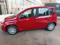 Fiat Panda 3ª serie 1.0 FireFly S&S Hybrid - thumbnail 8