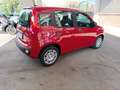 Fiat Panda 3ª serie 1.0 FireFly S&S Hybrid - thumbnail 5