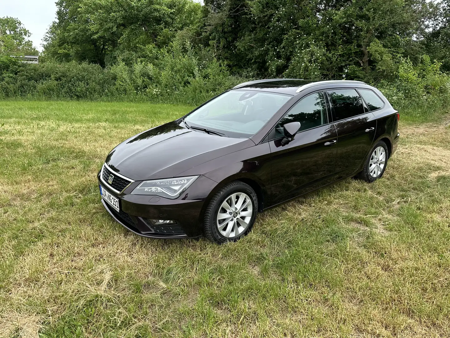 SEAT Leon ST 1.4 TGI Lane Asisst ACC LED Kamera AHK Pano Mauve - 1