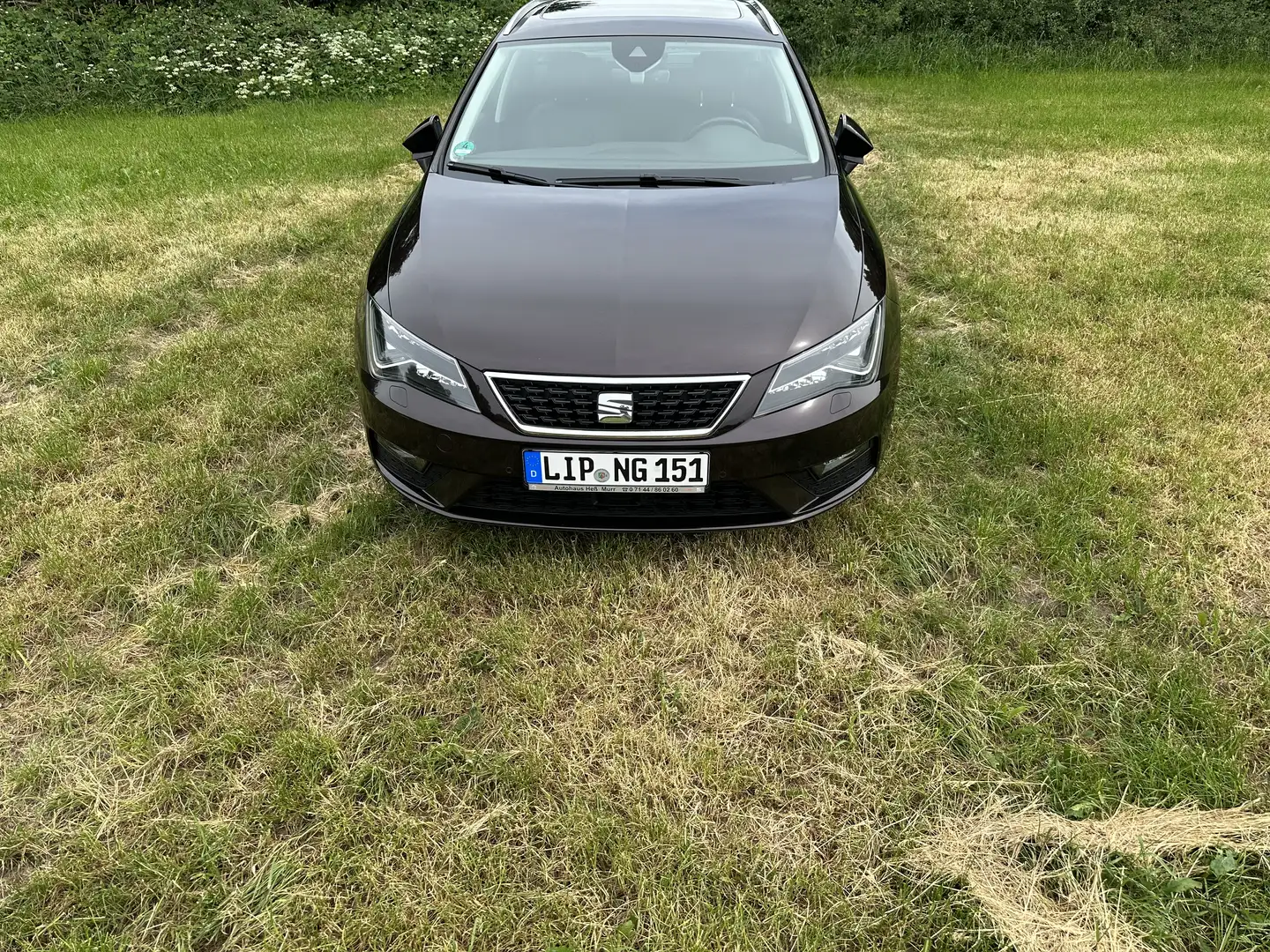 SEAT Leon ST 1.4 TGI Lane Asisst ACC LED Kamera AHK Pano Mauve - 2