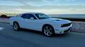 Dodge Challenger Coupé Aut. Blanco - thumbnail 16