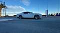 Dodge Challenger Coupé Aut. Blanco - thumbnail 17