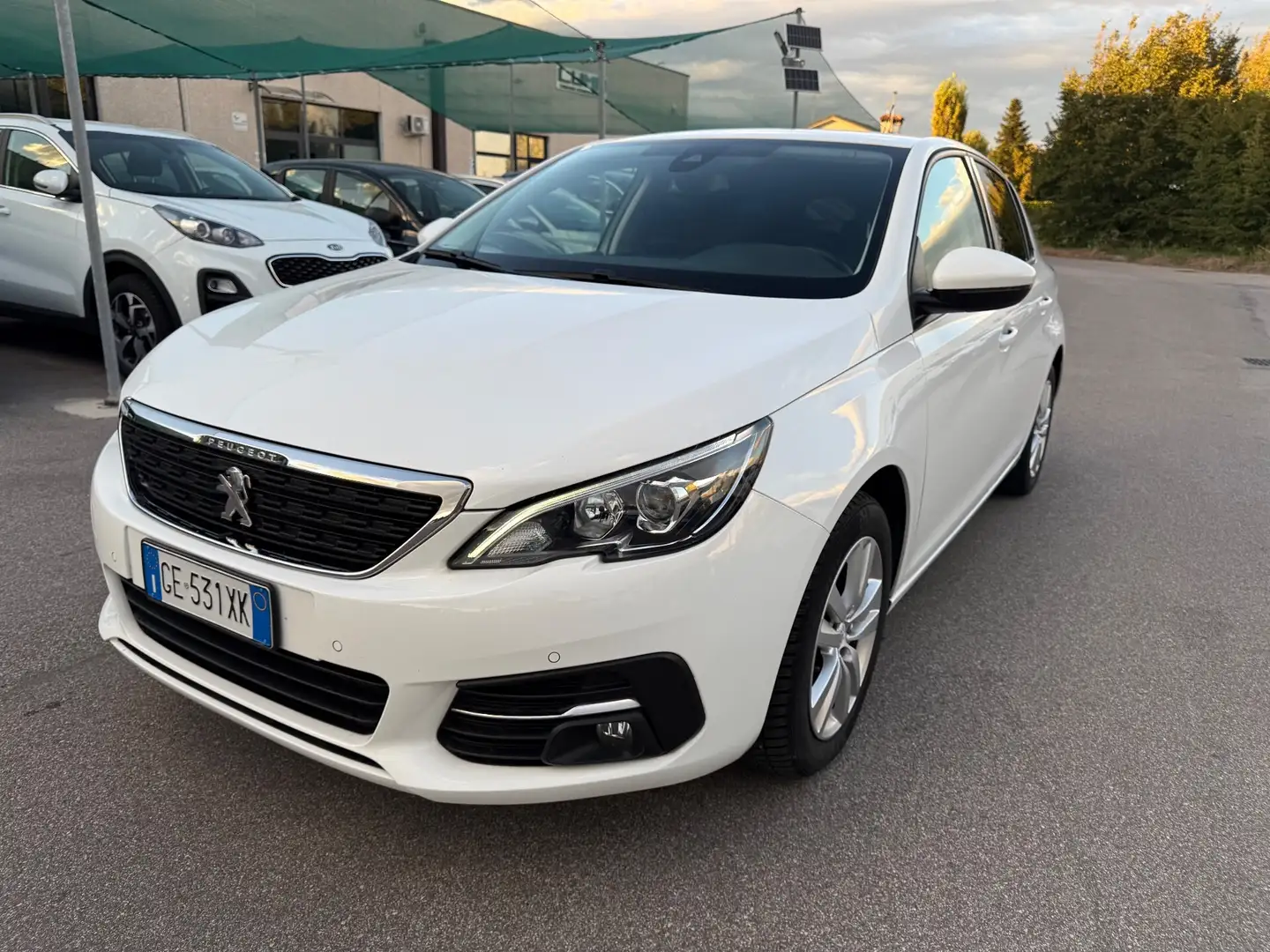 Peugeot 308 BlueHDi 130 S&S EAT8 Active Business Bianco - 1