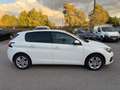 Peugeot 308 BlueHDi 130 S&S EAT8 Active Business Bianco - thumbnail 5