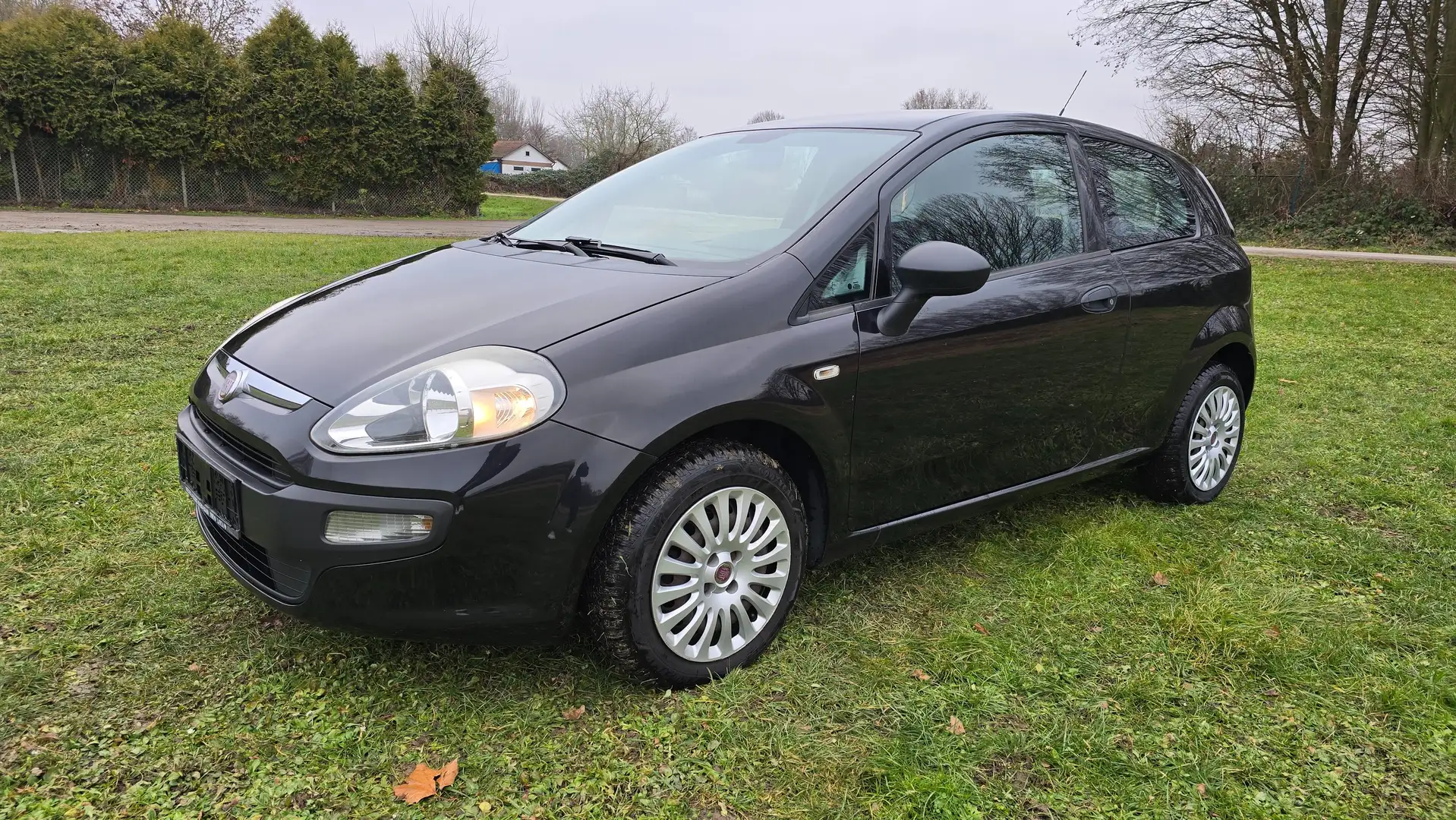 Fiat Punto Active,Klima,City Servo ,TÜV,ZV ,Evo,TOP Schwarz - 2