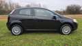 Fiat Punto Active,Klima,City Servo ,TÜV,ZV ,Evo,TOP Schwarz - thumbnail 4