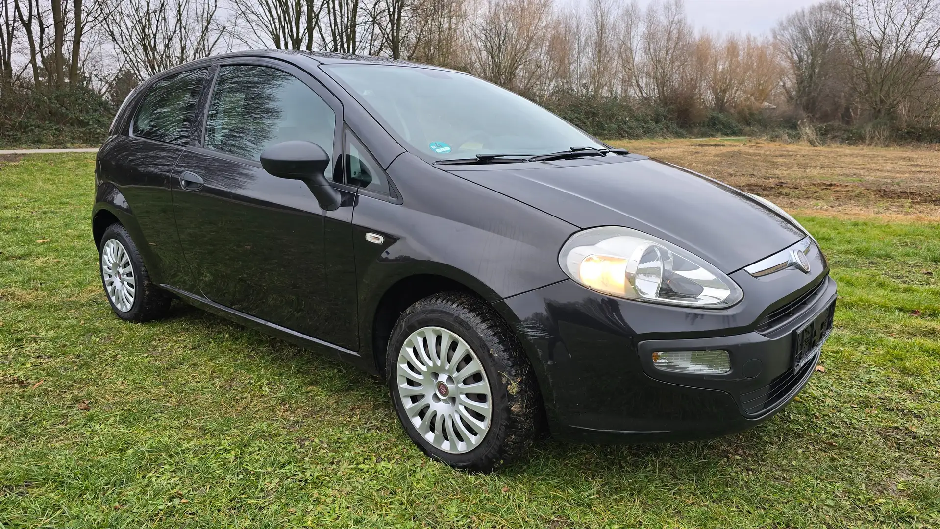Fiat Punto Active,Klima,City Servo ,TÜV,ZV ,Evo,TOP Schwarz - 1