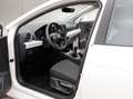 SEAT Ibiza 1,0 Reference Weiß - thumbnail 10