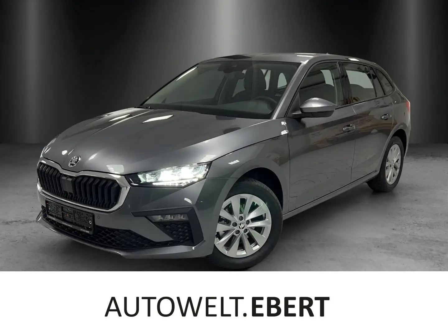 Skoda Scala Selection 1,0 TSI 85 kW Grau - 1