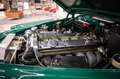Jaguar MK II 3.4 Matching Numbers Overdrive Verde - thumbnail 29