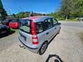 Fiat Panda 1,1 Active Grau - thumbnail 4